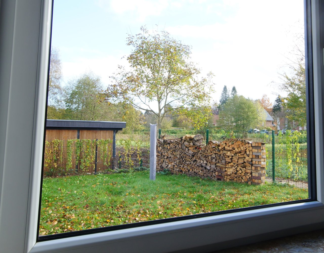 Blick in den Garten Blick in den Garten